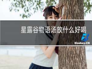 星露谷物语汤放什么好喝