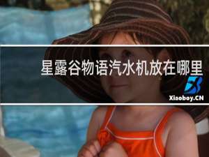 星露谷物语汽水机放在哪里