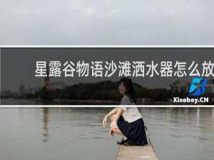 星露谷物语沙滩洒水器怎么放