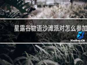 星露谷物语沙滩派对怎么参加