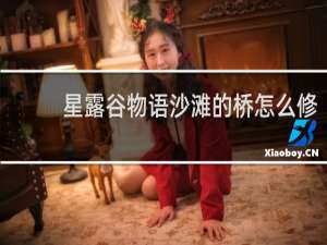 星露谷物语沙滩的桥怎么修