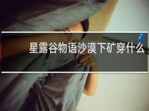 星露谷物语沙漠下矿穿什么