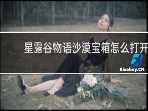 星露谷物语沙漠宝箱怎么打开