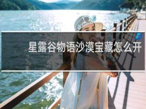 星露谷物语沙漠宝藏怎么开