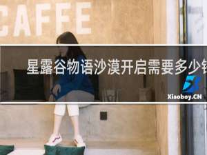 星露谷物语沙漠开启需要多少钱