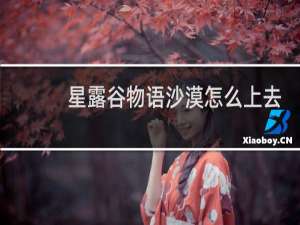星露谷物语沙漠怎么上去