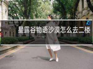 星露谷物语沙漠怎么去二楼