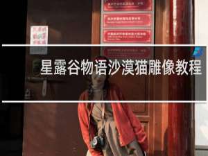 星露谷物语沙漠猫雕像教程