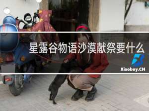 星露谷物语沙漠献祭要什么