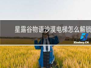 星露谷物语沙漠电梯怎么解锁