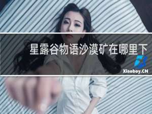星露谷物语沙漠矿在哪里下