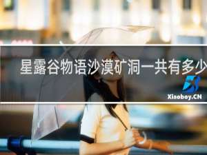 星露谷物语沙漠矿洞一共有多少层