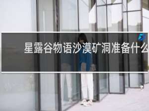 星露谷物语沙漠矿洞准备什么