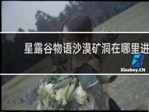 星露谷物语沙漠矿洞在哪里进