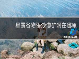 星露谷物语沙漠矿洞在哪里
