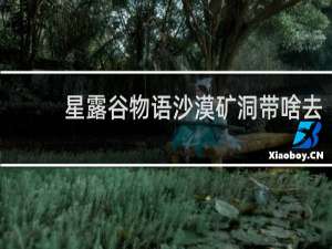 星露谷物语沙漠矿洞带啥去