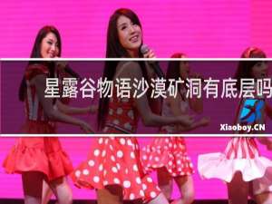 星露谷物语沙漠矿洞有底层吗