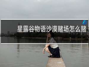 星露谷物语沙漠赌场怎么赌