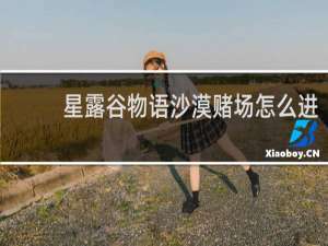 星露谷物语沙漠赌场怎么进