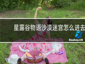 星露谷物语沙漠迷宫怎么进去