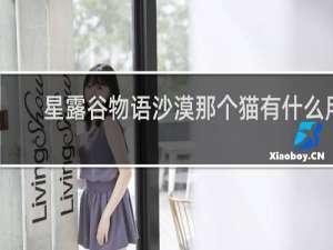 星露谷物语沙漠那个猫有什么用