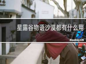 星露谷物语沙漠都有什么用