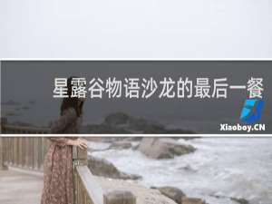 星露谷物语沙龙的最后一餐