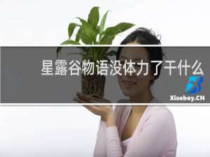 星露谷物语没体力了干什么
