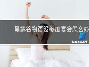 星露谷物语没参加宴会怎么办