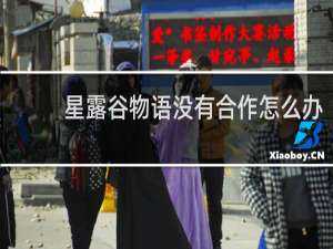 星露谷物语没有合作怎么办