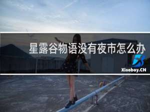 星露谷物语没有夜市怎么办