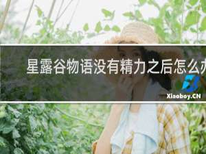 星露谷物语没有精力之后怎么办