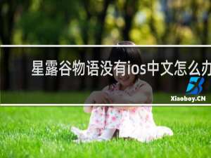 星露谷物语没有ios中文怎么办