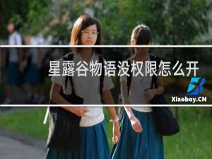 星露谷物语没权限怎么开