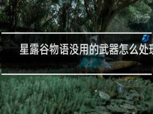 星露谷物语没用的武器怎么处理