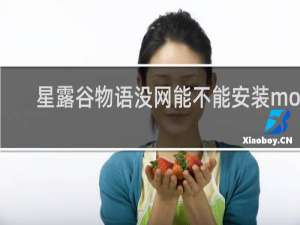 星露谷物语没网能不能安装mod