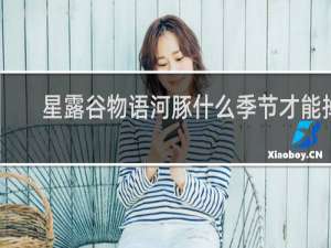 星露谷物语河豚什么季节才能掉