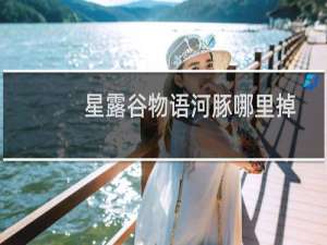 星露谷物语河豚哪里掉