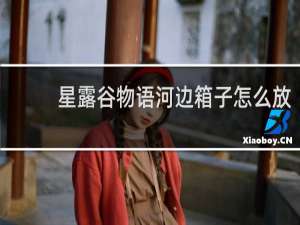 星露谷物语河边箱子怎么放