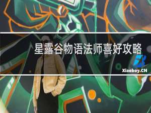 星露谷物语法师喜好攻略