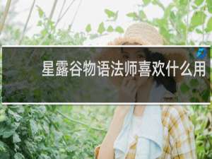 星露谷物语法师喜欢什么用
