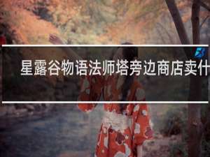 星露谷物语法师塔旁边商店卖什么