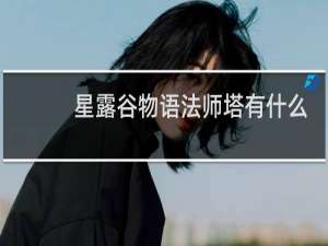 星露谷物语法师塔有什么