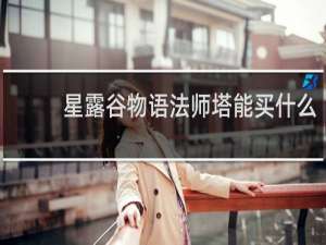 星露谷物语法师塔能买什么