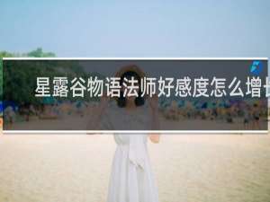 星露谷物语法师好感度怎么增长