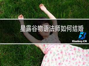 星露谷物语法师如何结婚