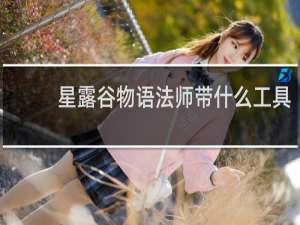 星露谷物语法师带什么工具