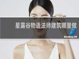 星露谷物语法师建筑哪里做