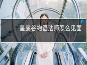 星露谷物语法师怎么见面