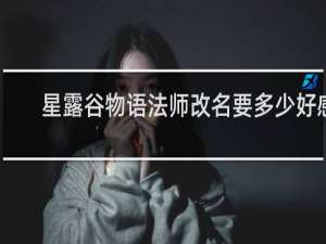 星露谷物语法师改名要多少好感